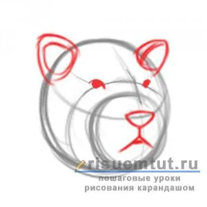 Как да се направи молив тигър постепенно - съставя тук (на етапи) Как да се направи молив тигър постепенно - съставя тук