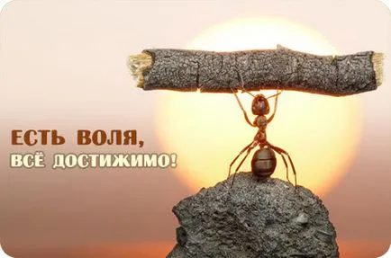 Как да се развива воля и самодисциплина
