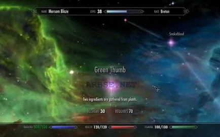 Как да се върнете всички бакшиш на героя в Skyrim Често задавани въпроси - на Elder Scrolls 5