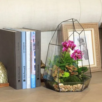 Как florarium собствените си ръце (20 снимки)