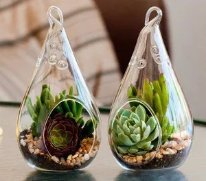 Как florarium собствените си ръце, стъпка по стъпка ръководство