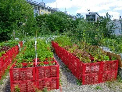 Как да направите красиви легла за зеленчуци в лятната си градина
