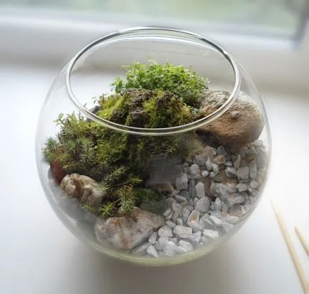 Как florarium собствените си ръце (20 снимки)