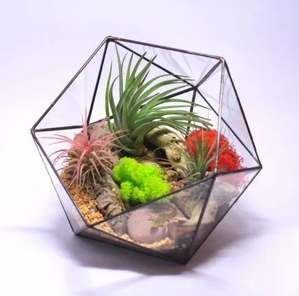Как florarium собствените си ръце (20 снимки)