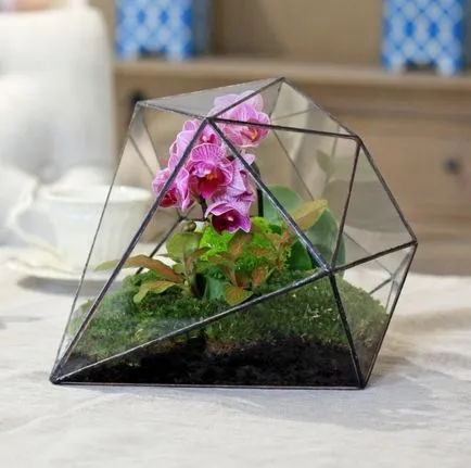 Как florarium собствените си ръце (20 снимки)