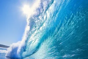 Как да се морска вода аквариум (вода) Как да си направим морска вода аквариум