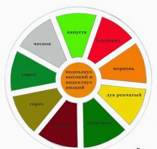 Как да си направим право и красива градина със собствените си ръце и фото идеи