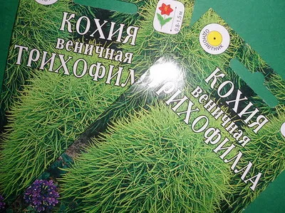 Как да порасна kohiyu