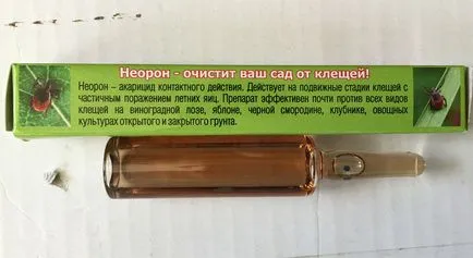 Как да порасна kohiyu