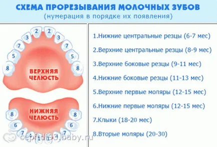 Както зъбите започва да се катери