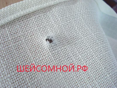 Как да настроите капси с ръцете си - вратовете с мен (комплект) Как да настроите капси с ръцете си - вратовете с мен