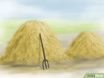 Как да се култивира просо
