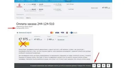 Как да поръчате без да се налага да плащат за водач на самолетен билет