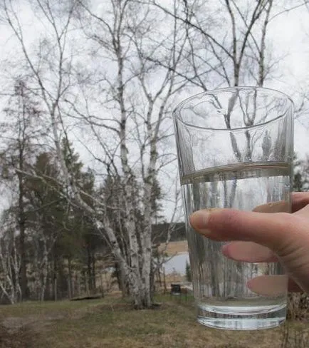 Как да се премахне сок бреза с лимон за зимата