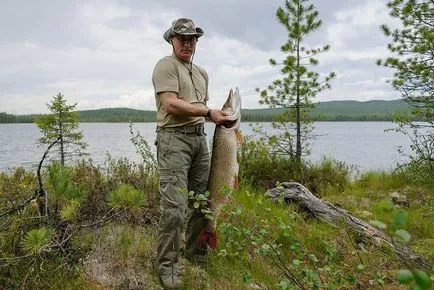 Календар щука риболов кога и как да ловят щука - риболов на щука през есента, зимата, пролетта и лятото