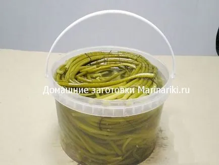 Как да туршия див чесън у дома