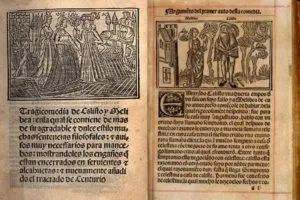 Stone описание селенит, имоти, знаците на зодиака (селенит) Stone описание селенит, имоти, знаците на зодиака