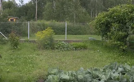 Frame баня със своя практически стъпка фото и видео инструкция