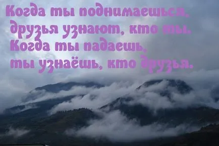 Снимки с думите на живот (330 бр