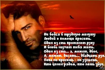Снимки с думите на живот (330 бр