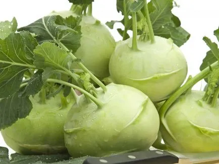 Алабаш отглеждане и грижи зеле