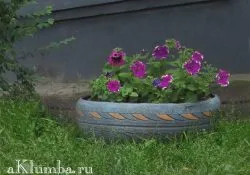 Легловата база на гуми 35 снимки на най-красивите цветни лехи на гуми