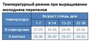 Клетки за пъдпъдъци собствените си ръце рисунки и снимки (безплатно), ферма със собствените си ръце