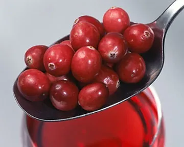 Cranberry - имоти, как да се използват боровинки - издание - Им (калина) Cranberry - имоти, как да се използват боровинки - издание - BM