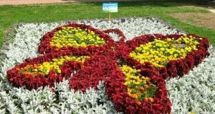 Цветни лехи подробности и детайли (какви са цветни лехи) Цветни лехи подробности и детайли