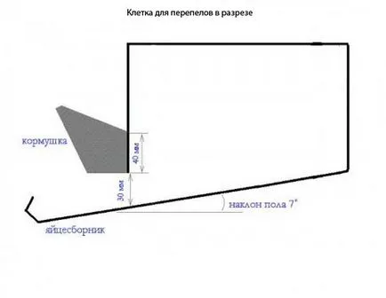 Клетки за пъдпъдъци снимка рисунки, самият той строител