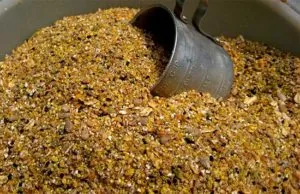 Храна за кокошки носачки цена на крайния продукт и домашно приготвени