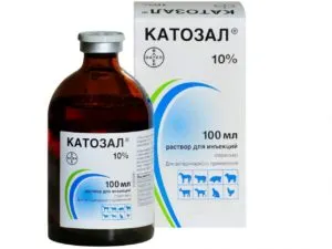 Колит в Кучета - причини, симптоми и лечение