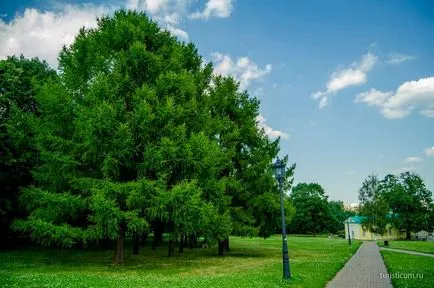 Коломенское - Запазване на музей, разходка в парка, София