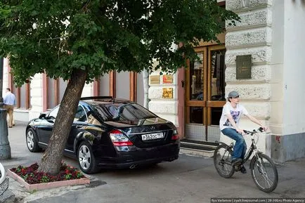 Когато дърветата бяха големи, по-свежа - най-доброто от деня, в който ще се наложи!