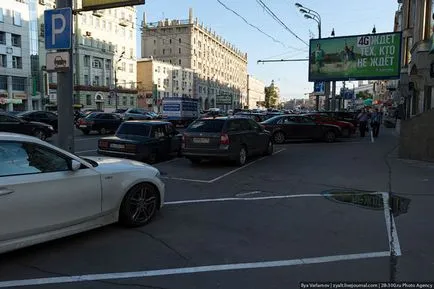 Когато дърветата бяха големи, по-свежа - най-доброто от деня, в който ще се наложи!