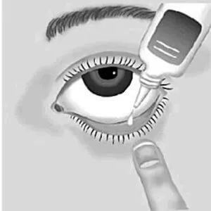 Eye конюнктива, където е (снимка)