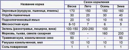 Хранене пуйки у дома - нейната птица