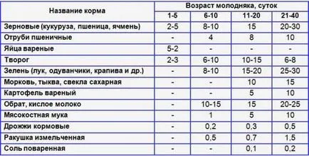 Хранене пуйки у дома - нейната птица