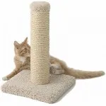 Котки и кучета