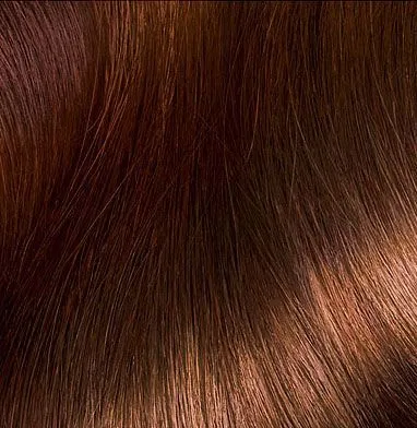 Paint палитра ekselans Loreal, mydeepinside