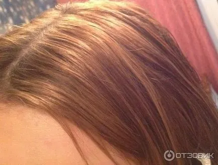 Боя за коса L'Oreal ekselans палитра от цветове, снимки и коментари, видео ревюта