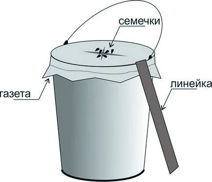 Плъх капан с ръцете си как да се направи
