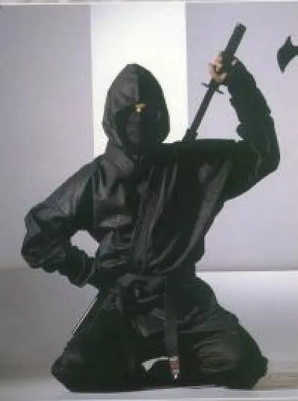 Кои са нинджите (Shinobi)