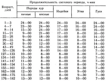Кокошарник за кокошки носачки с техните ръце, клипове, снимки
