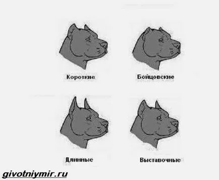 Облекчение на ушите при кучета