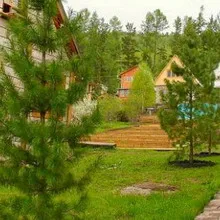 Озеленяване Снимка на дървета и храсти в градината, съставът на дървета и храсти