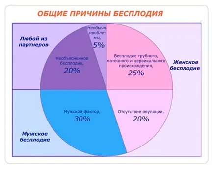 Традиционните методи за безплодие средства лечение и методи за борба с безплодие (лечение) Лечение на безплодие народни средства методи и начини за справяне с безплодието