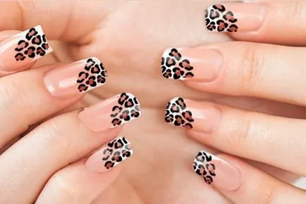 Leopard маникюр 100 снимки, как да се направи леопард маникюр