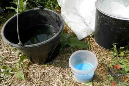 Bluestone и домати