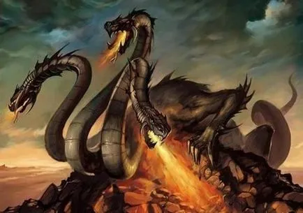 Dragon какво е